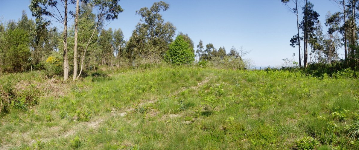 Munarrikolanda 1 trikuharria