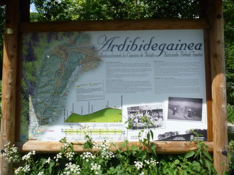 Ardibidegainea ibilbidearen kartela, Izaban