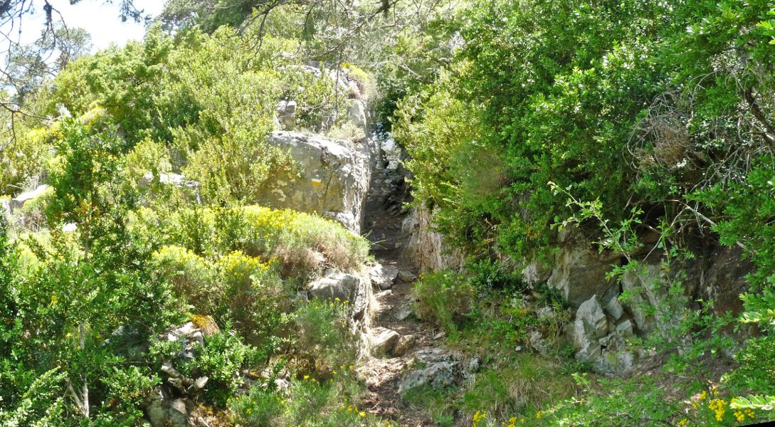 Bideak toki ederrak zeharkatzen ditu