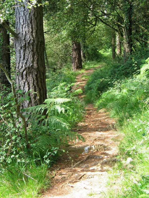 Igoerako pasarte bat