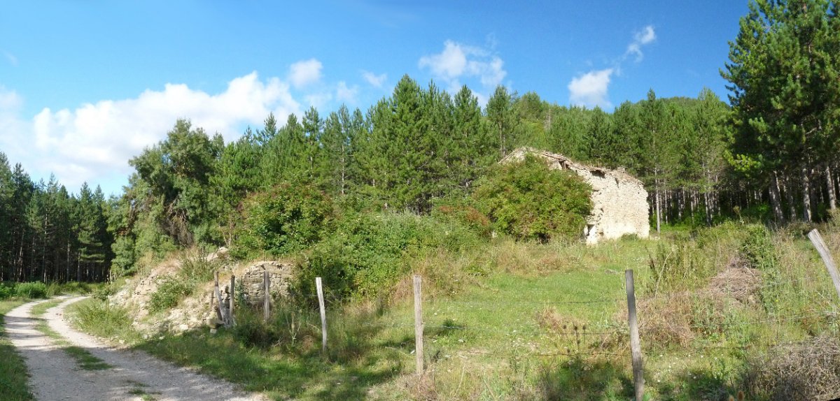 Racas Bajoko hondakinak