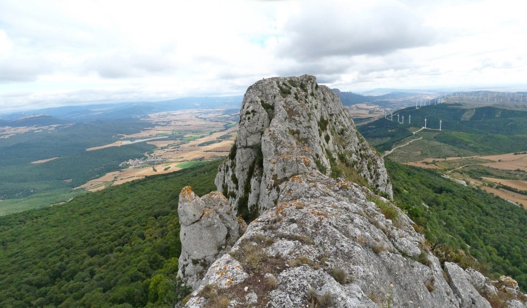 Ekialdeko gandorrean aurrera