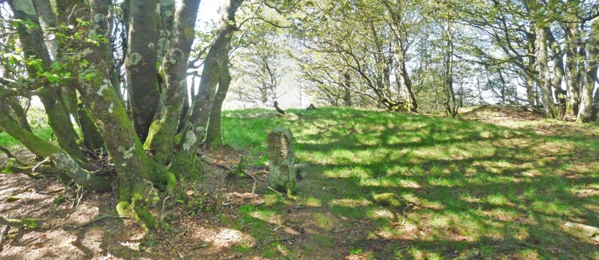 Ollarmendiko gailurra