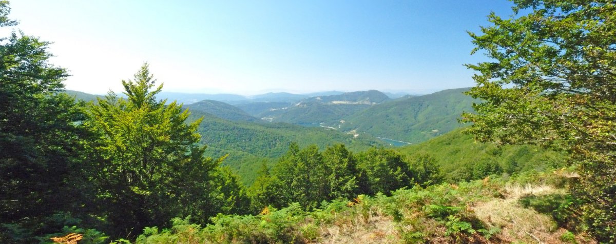 Panorama murritza Ollarmenditik