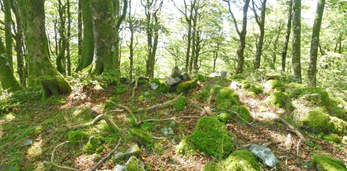 Lizartxipiko gailurra (1108m)