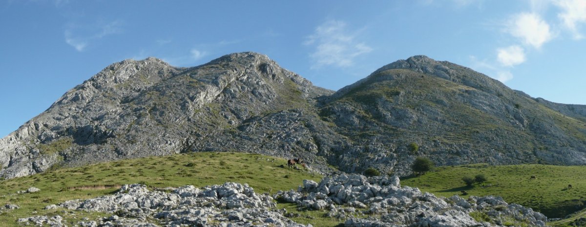 Arkaitz eta errikoaitza