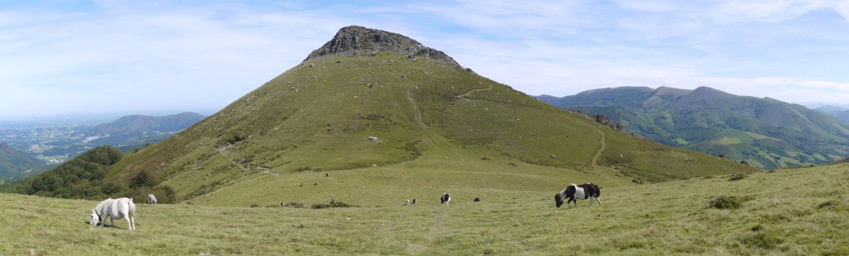 HMko lepotik ikusita