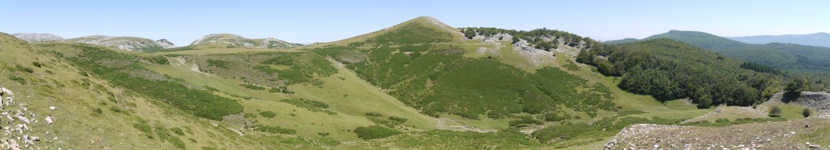 Txameniko bizkarretik ikusita