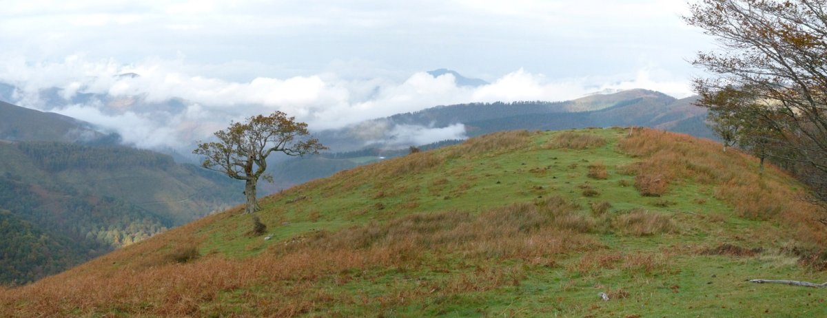 Arlepoko bizkarrean gora