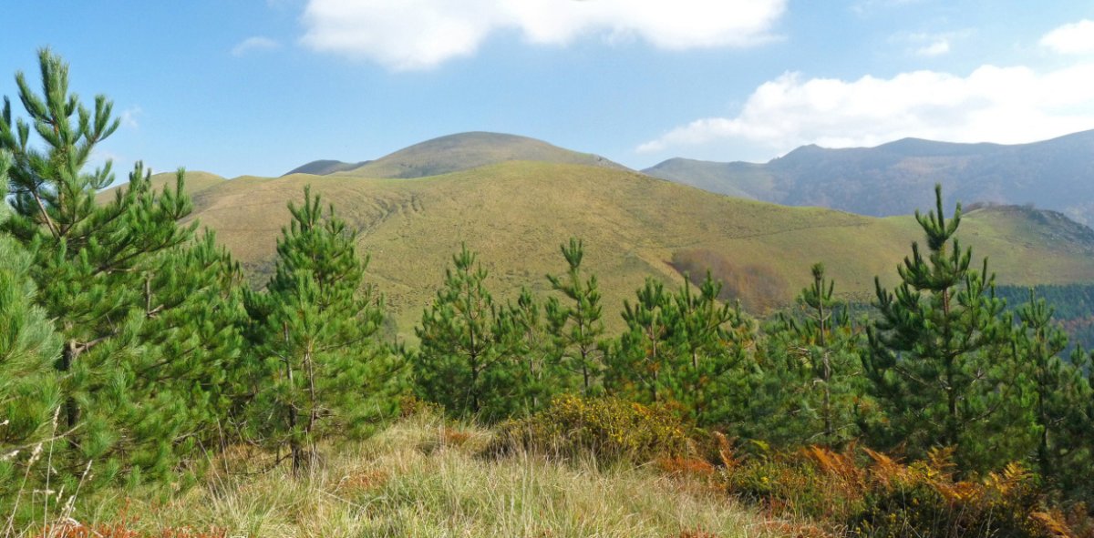Mendibila Deskagako gailurretik