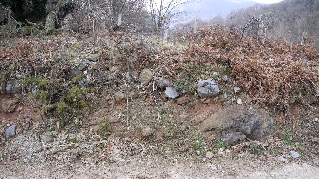 Bideak eragindako ebakia