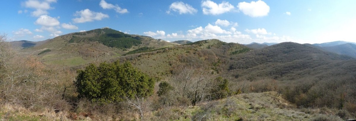 San Gregorio/Arriaundi Txurbildik