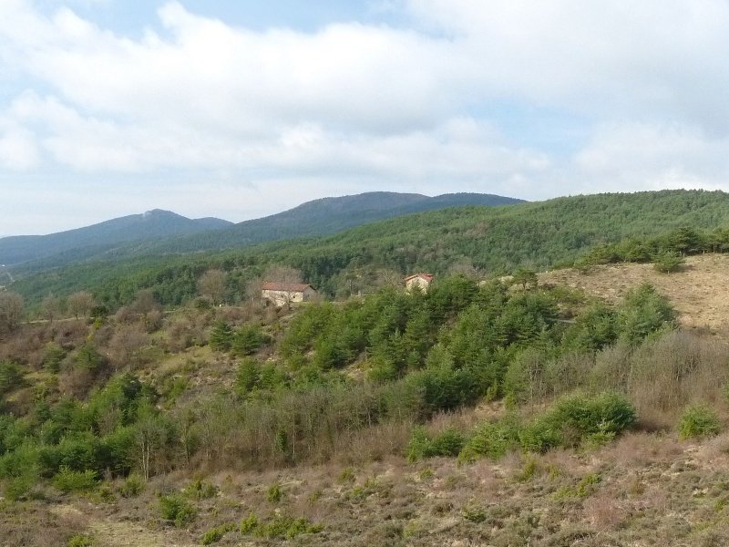 Tirapegiko herri hustua