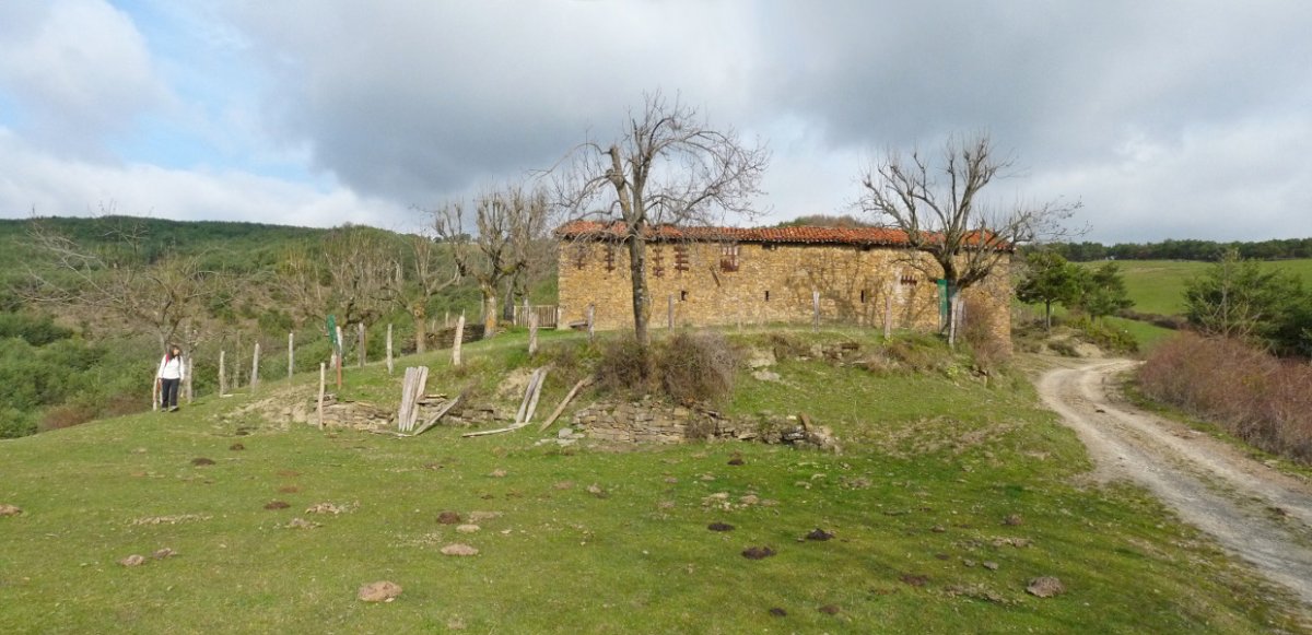 Tirapegiko herri hustua