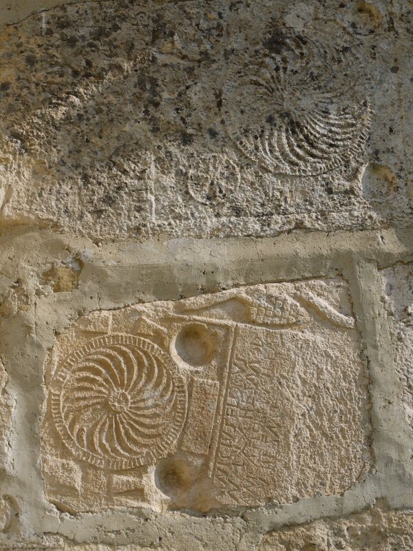 Idatzitako arlosak ageri dira hormako zenbait lekutan