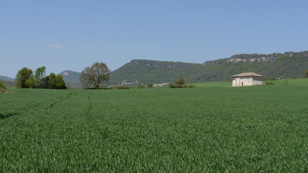 Ermita soroen artean