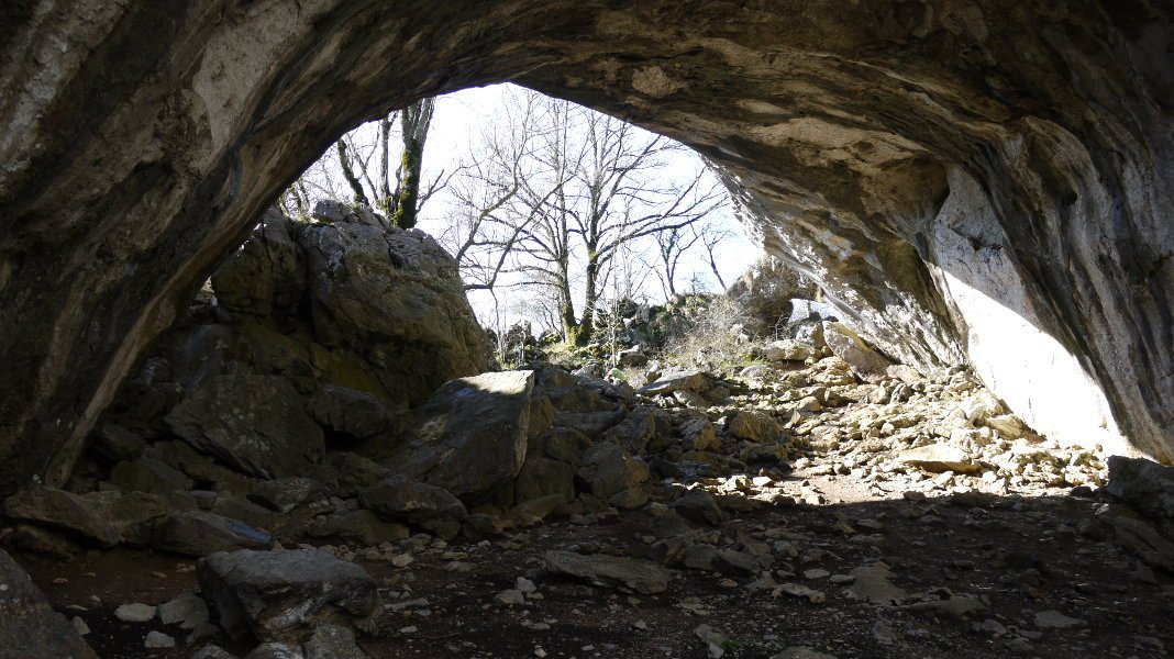 Aitzulo leizea Araotz aldean