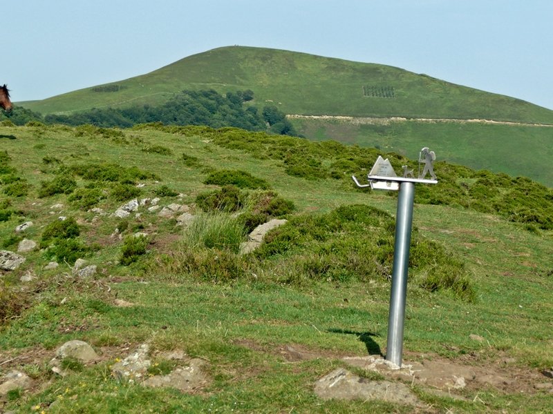 Buzoia. Atzean,Irakurri