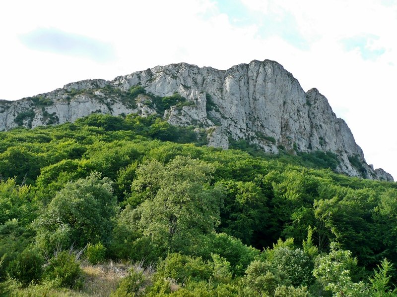Castillo de Lapoblacion