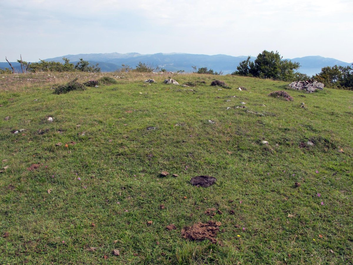 Urdiaingo Portua 1 tumulua