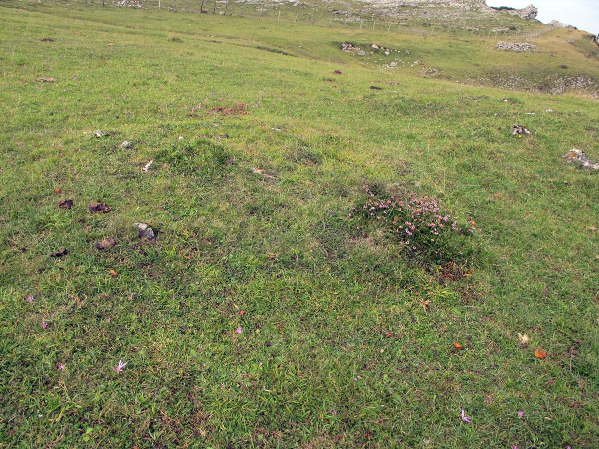 Urdiaingo Portua 2 tumulua