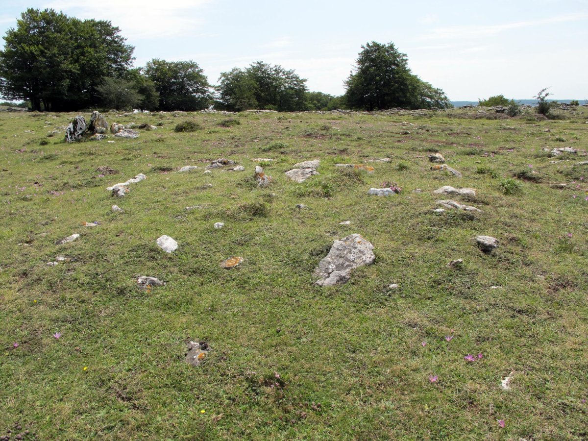 Santa Marina 1 mendebal tumulua