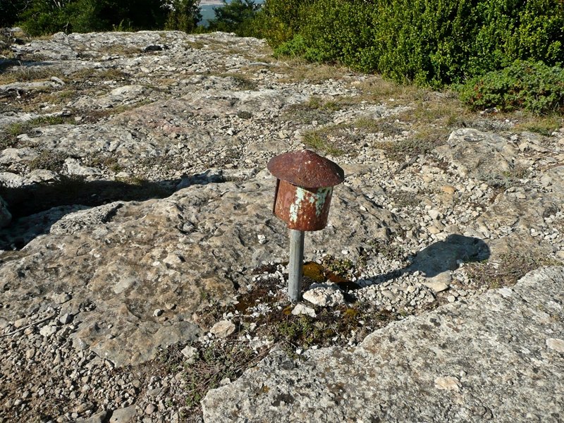 Buzoia Erpin Geodesikodun Tontorran