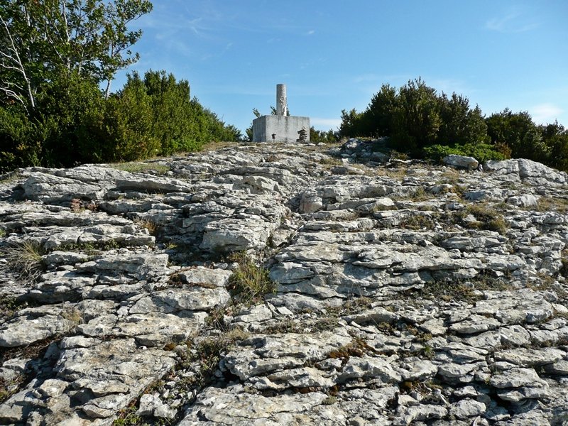 Erpin Geodesikodun Tontorra