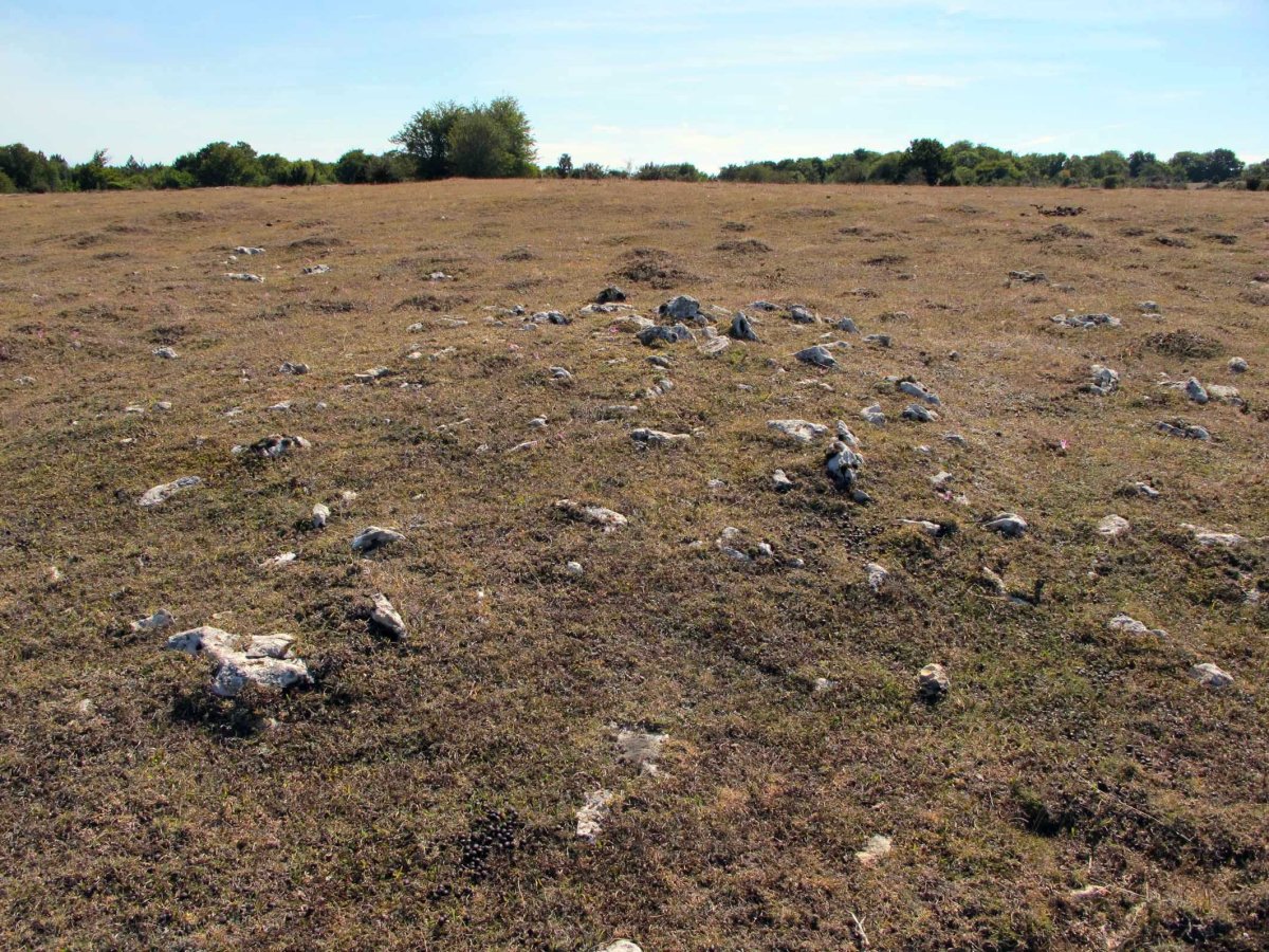 REGALBAR 2 mendebal tumulua