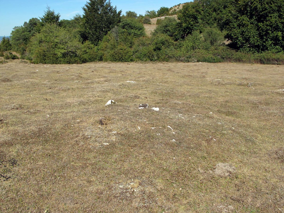 REGALBAR 1 ekialde tumulua