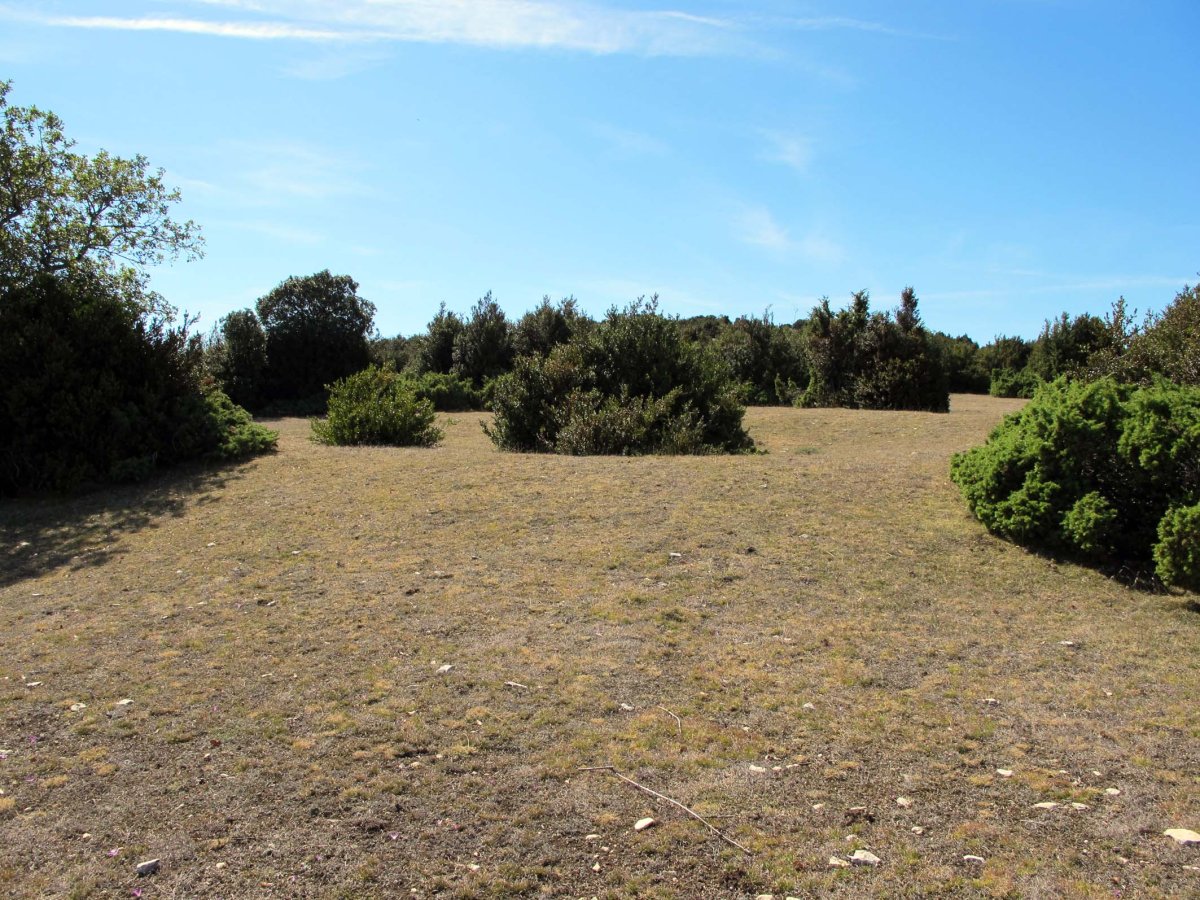 SANGRIS eraztun-tumulua