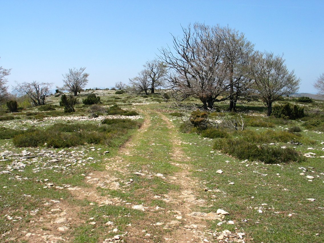 Gainaldeko ikuspegia, mendebaldean