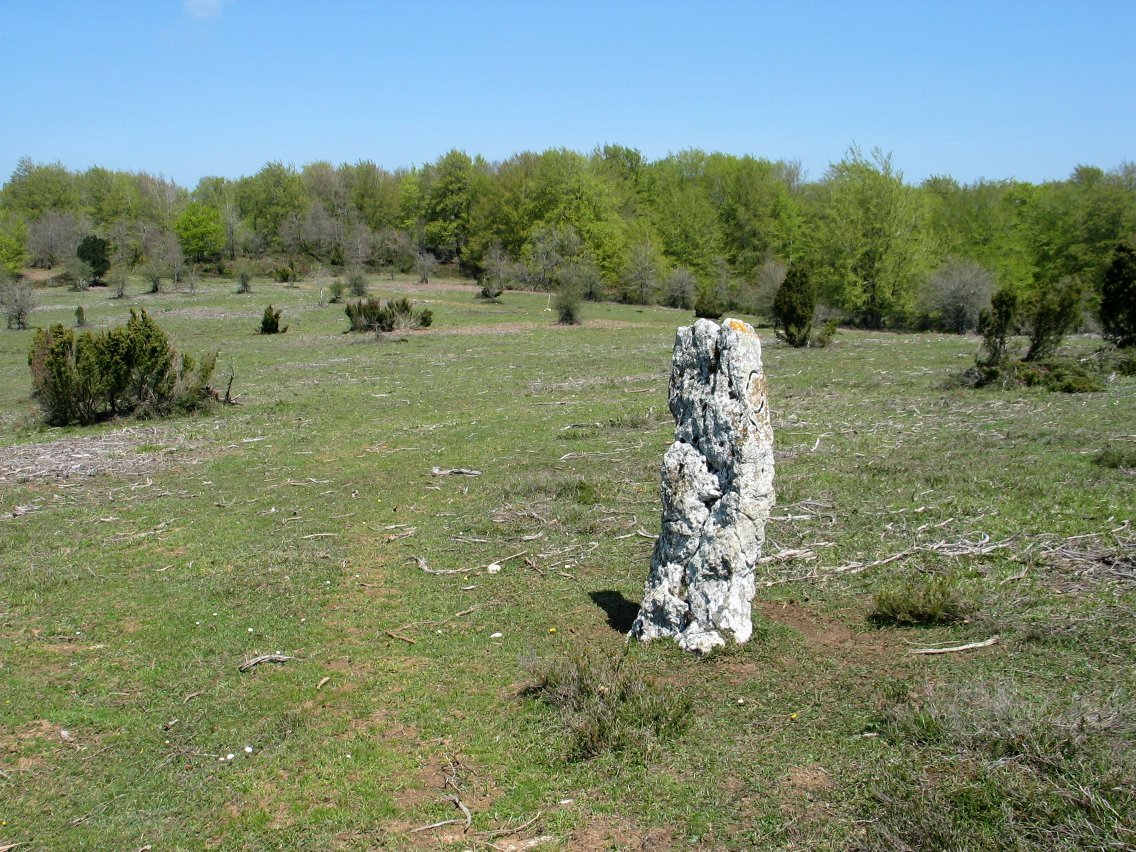 Mugarri luzea, mendebaldean (x556595, y4732027)