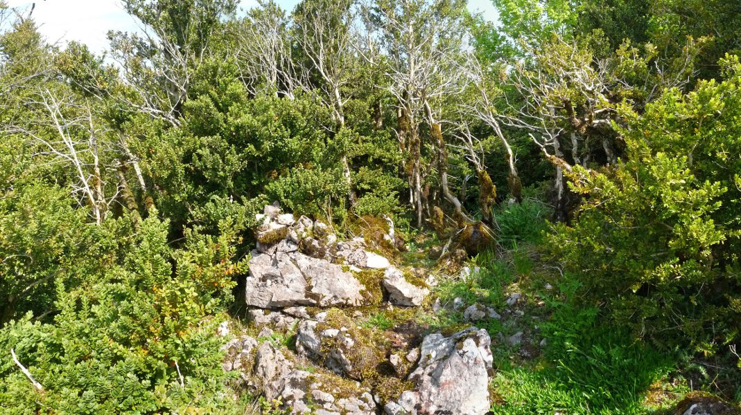 Urrizmunuko gailur itxia