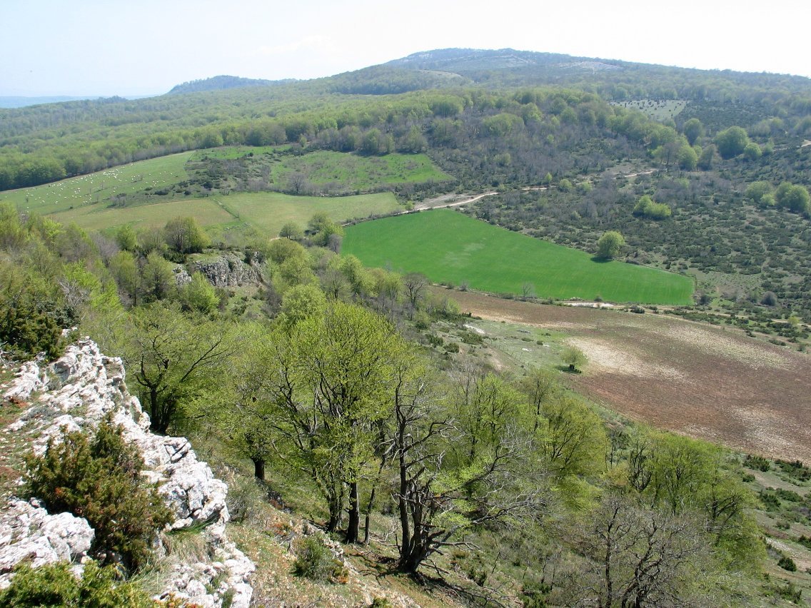 Ekialdeko ikuspegia, Arnaba aldera