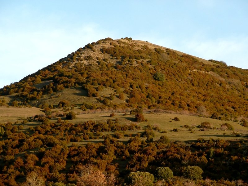 Mendebaldeko Tontorra