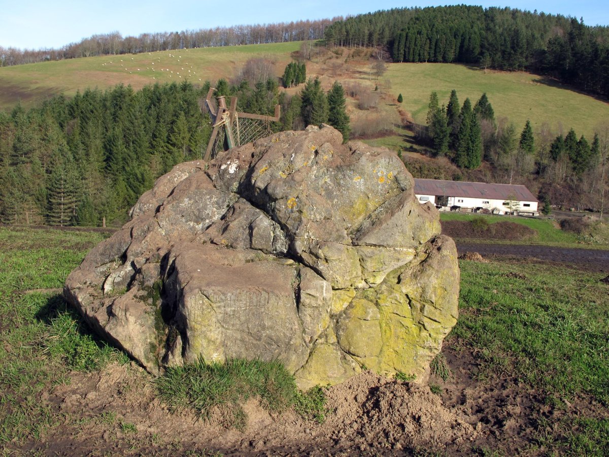 Larrarte trikuharria