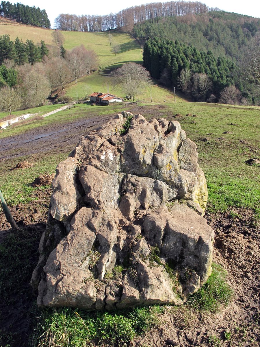 Larrarte trikuharria