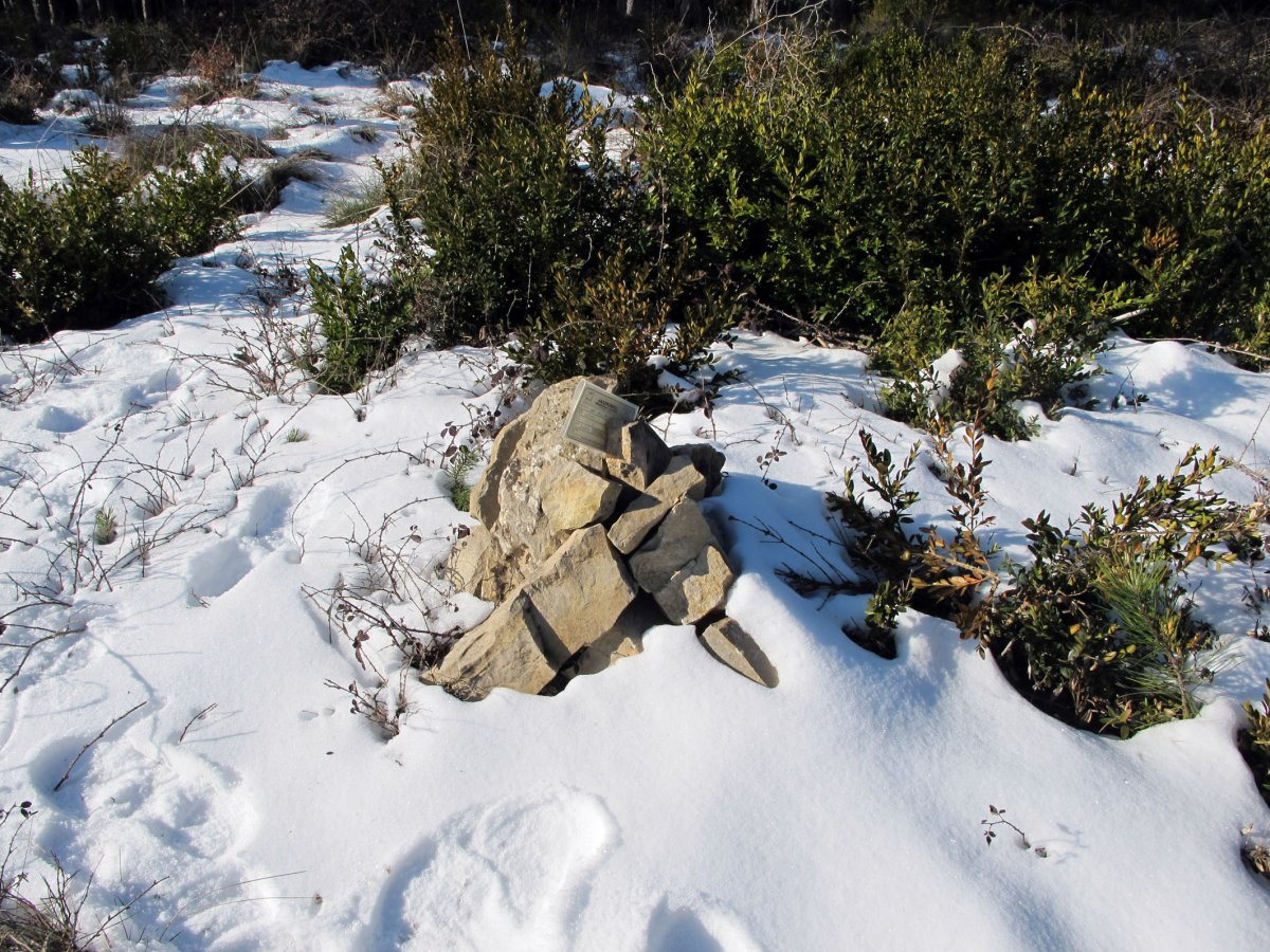 Lertxundi mendiaren gailurra