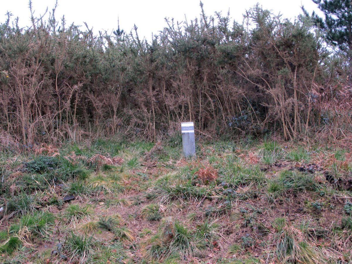 Olaiko Trikuharria (egun ere ote tartean)