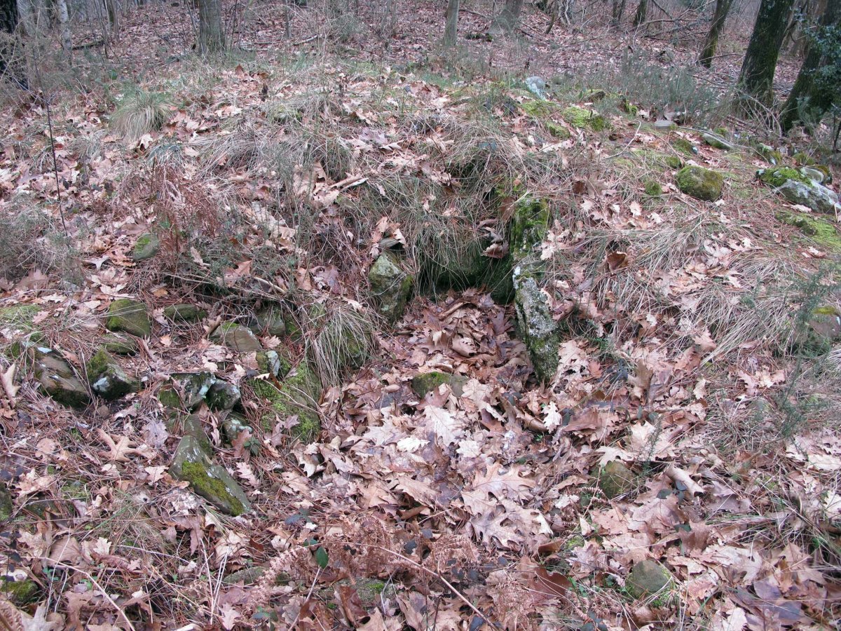 Karramiolotz trikuharria