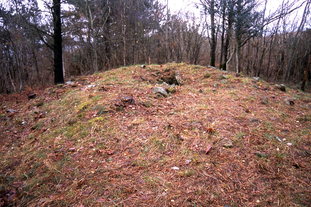 Karramiolotz trikuharria 2004-01-03-an