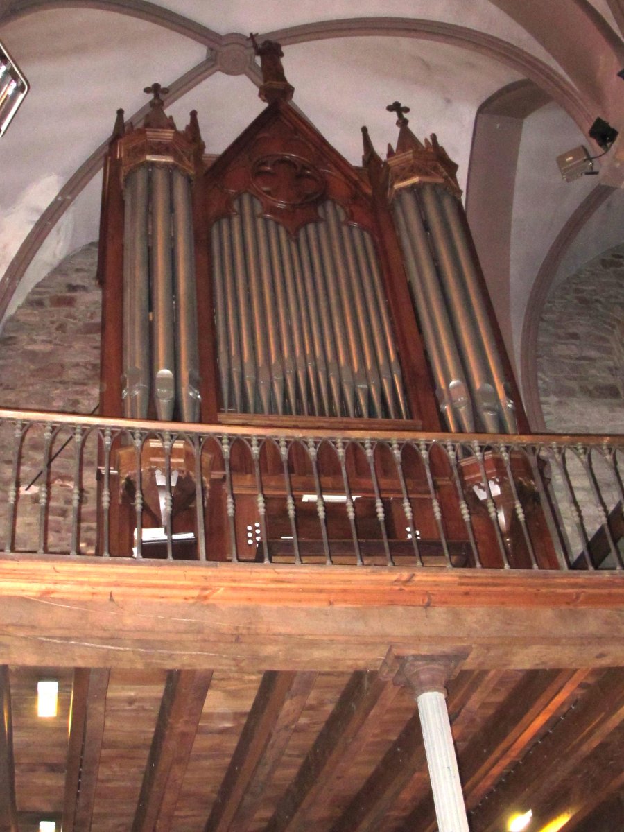 Santa Maria eliza, organoa