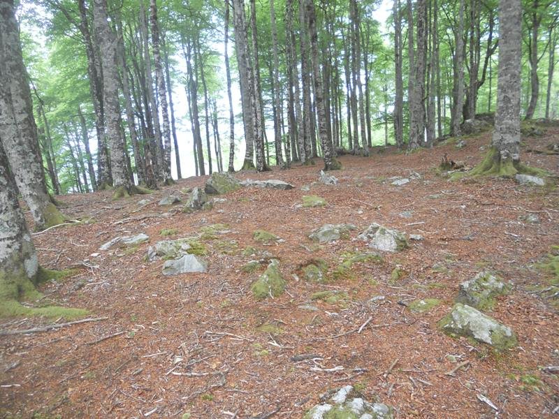 iraztei harrespil berria