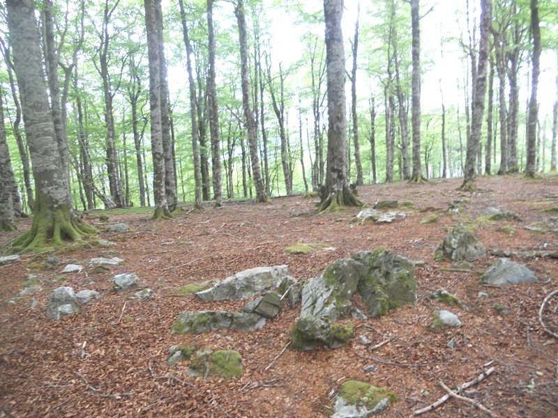 iraztei harrespil berria