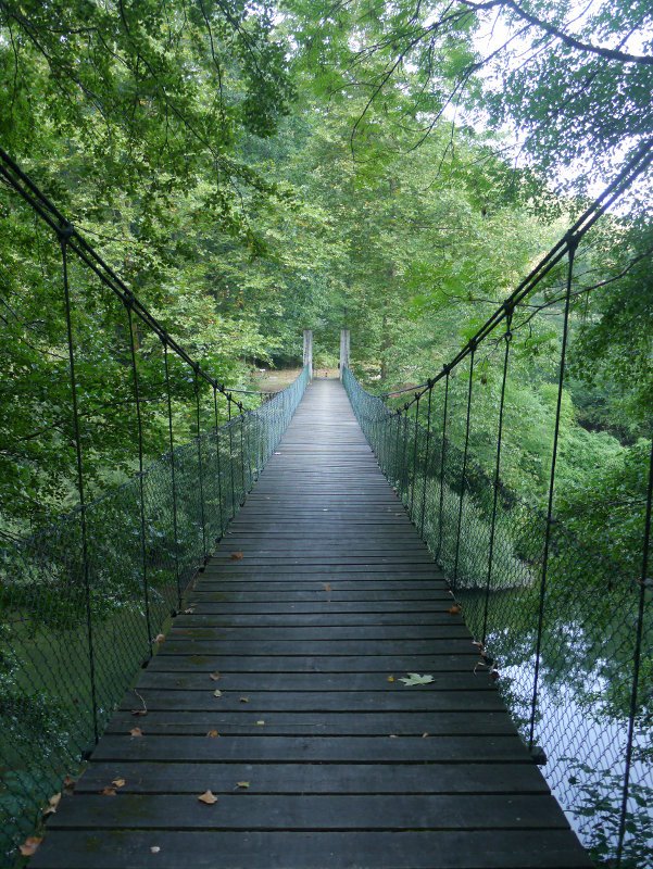 Oinezkoen zubia Bidasoa gainean