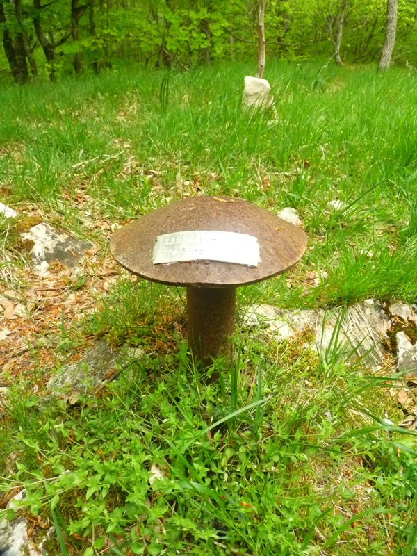 Zarranzmendiko txartelontzi zaharra