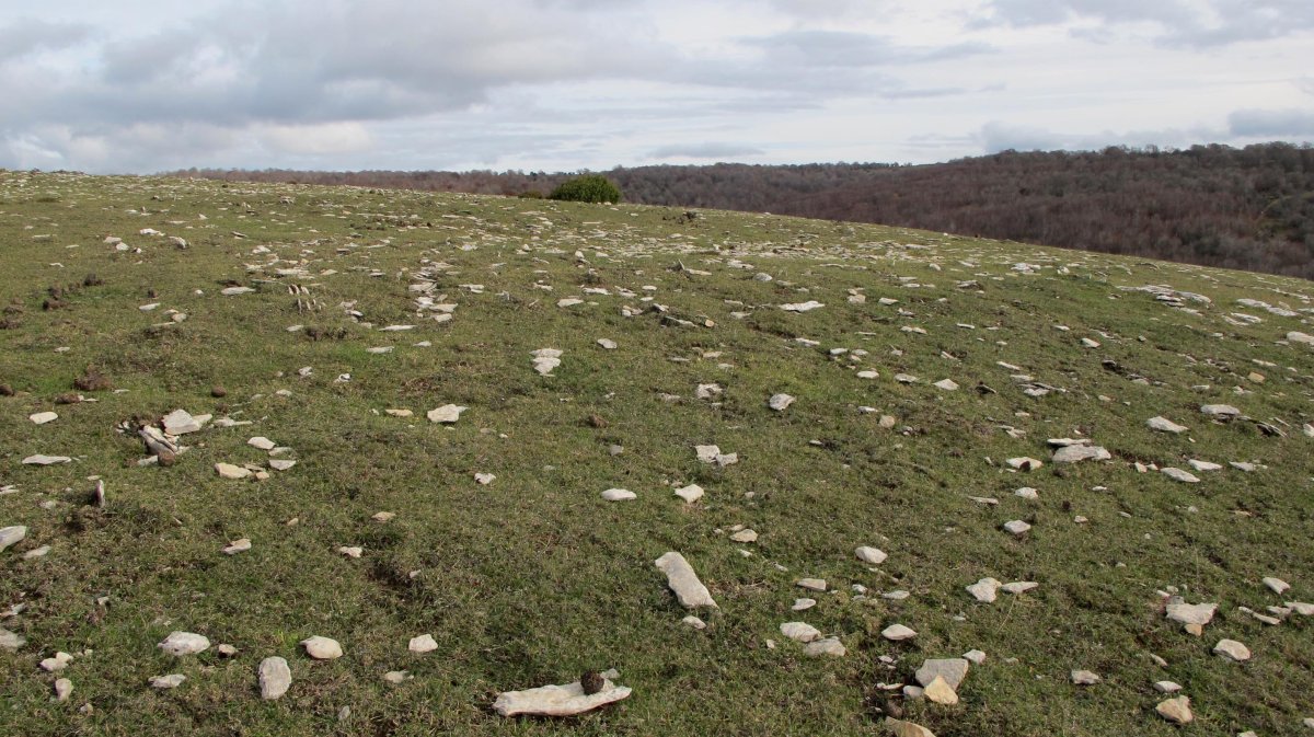 Los Mangones 3 hego eraztun tumulua, Andia
