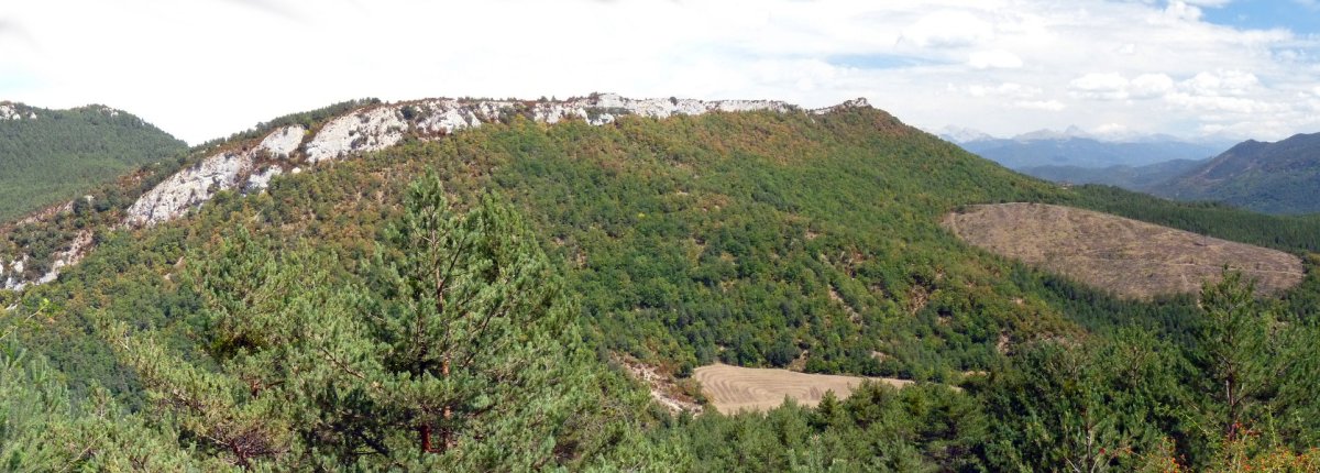 Santa Agatako gandorrak Arrigorriatik