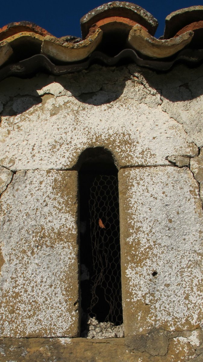 Andremaria ermita, Hiriberri